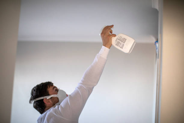Best Mold Damage Repair  in Cedar Hills, OR