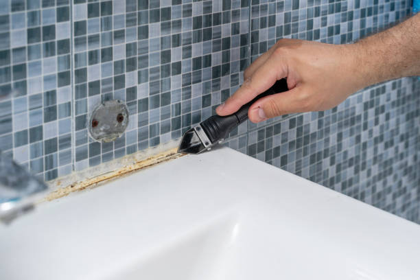 Best Professional Mold Removal  in Cedar Hills, OR